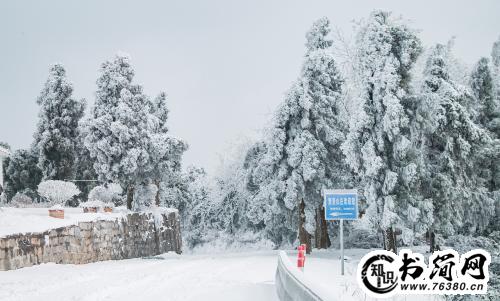 关于雪的句子优美短句